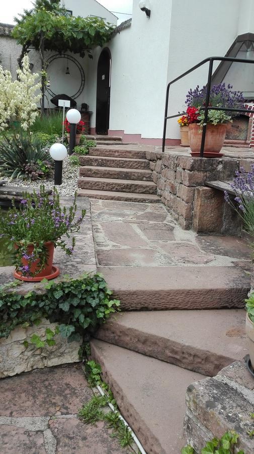 Ferienwohnung Belle Vue Verbandsgemeinde Verbandsgemeinde Bernkastel-Kues Buitenkant foto